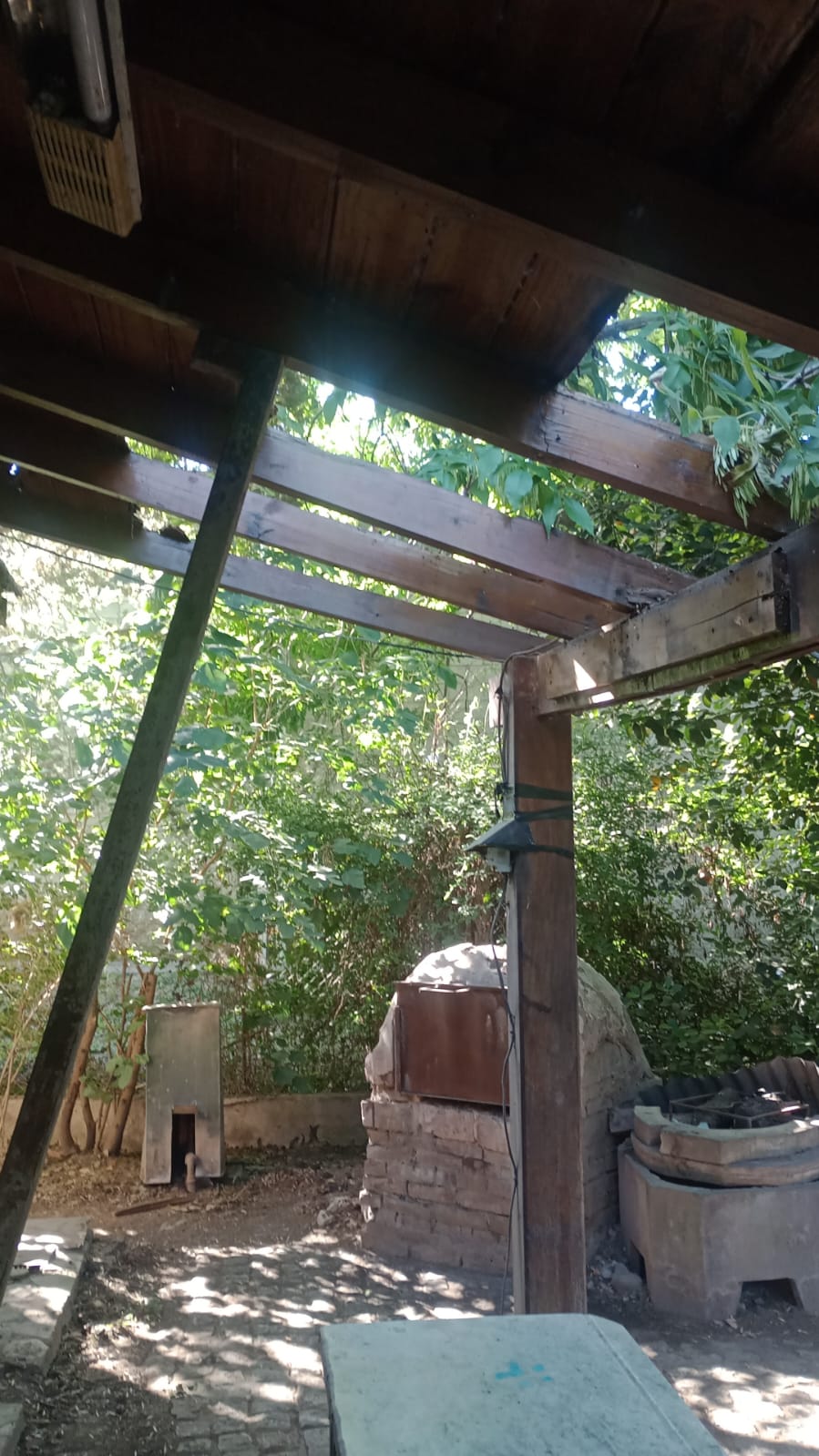 WhatsApp Image 2024-11-24 at 08.16.41.jpeg